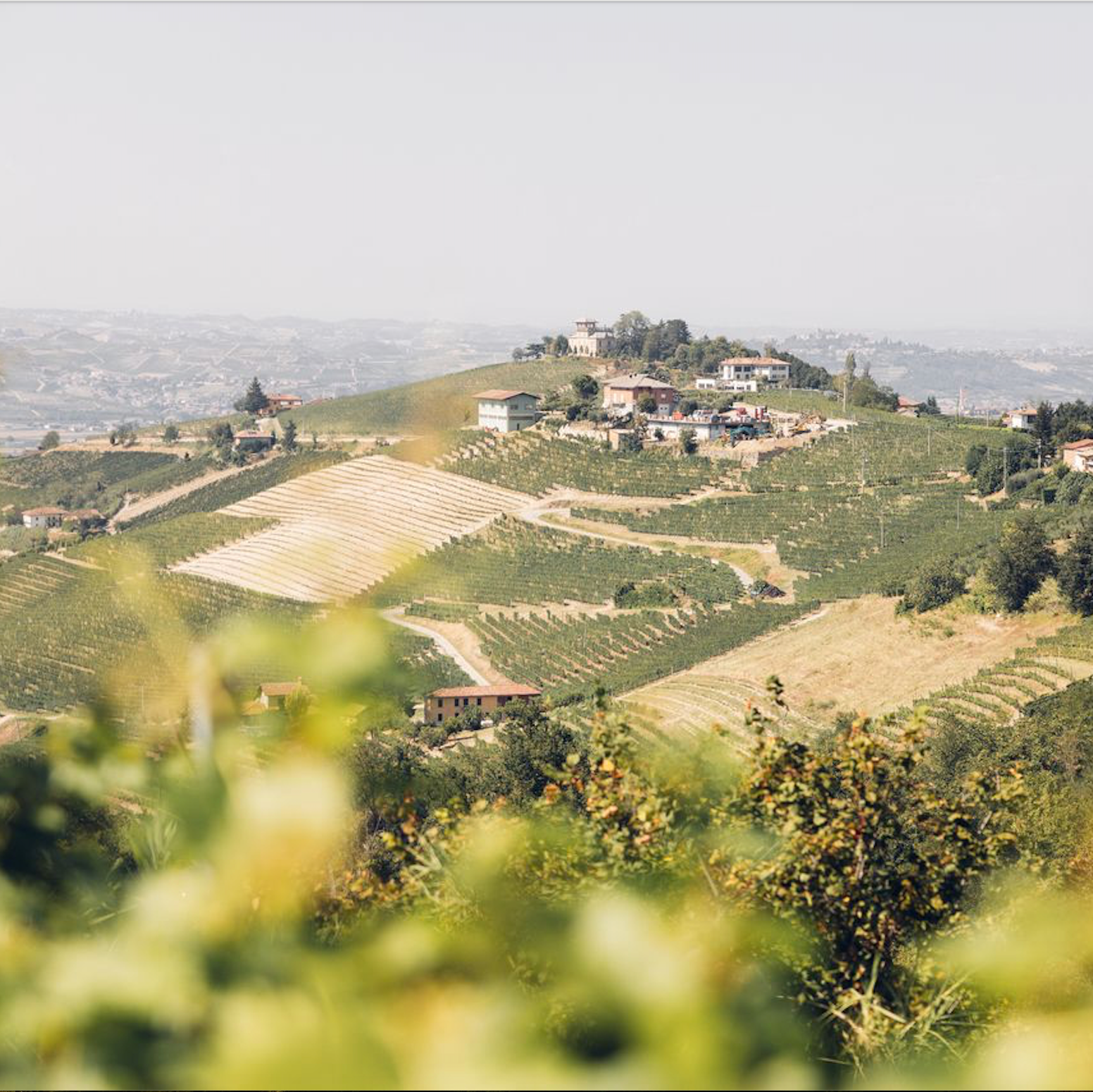 På Rundtur i Piemonte og aspargesmenu d. 1. maj 2026 i Vinlauget Grand